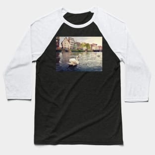 magnificent swans Baseball T-Shirt